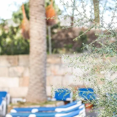 Hotel Elegance Playa Arenal 2*